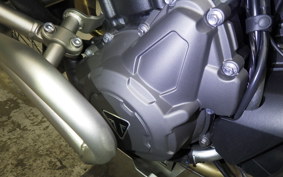 TRIUMPH TIGER900 RALLYARACO 2024