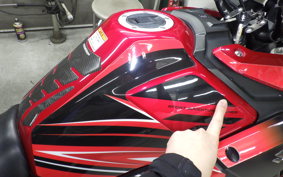 SUZUKI V-STROM 250