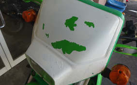 KAWASAKI KDX250SR DX250F