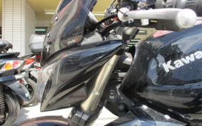 KAWASAKI Z1000 2009 ZRT00B