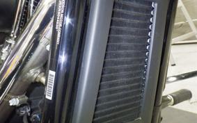 HARLEY FLSB 1750 2025