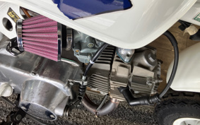 HONDA MONKEY Z50J