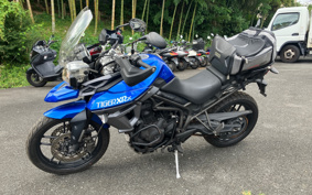 TRIUMPH TIGER 800XRX 2016 TRE538