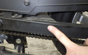 OTHER +UNREGISTERED MODEL by BDS125 2023