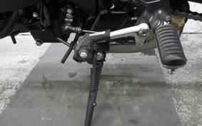 KAWASAKI Z900RS 2024