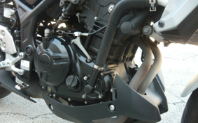 YAMAHA MT-25 RG43J