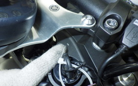 YAMAHA XSR900 2018 RN56J