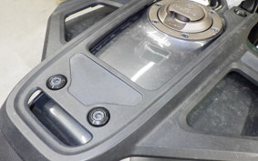 HUSQVARNA SVARTPILEN 250