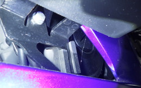 YAMAHA YZF-R15 2021 RG86J