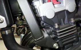 HONDA HORNET 250 2023 MC31