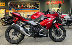 KAWASAKI NINJA 250 ABS EX250P