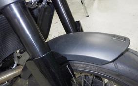 HUSQVARNA ENDURO 701 2020