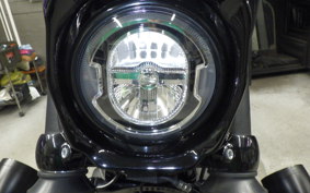 HARLEY FXBB1750 2018