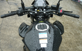 KAWASAKI Z250ABS EX250P