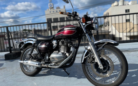 KAWASAKI ESTRELLA BJ250A