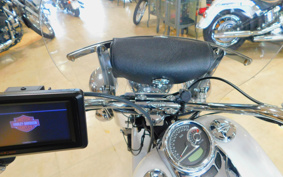 HARLEY FLSTC 2012 BW5