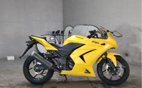 KAWASAKI NINJA 250R EX250K