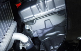 HONDA CRF250 RALLY LDA 2017 MD44