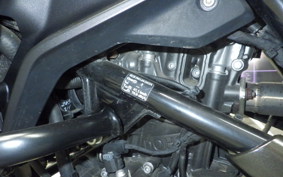 BMW G310R 2022
