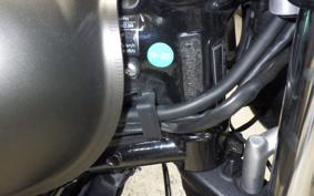 TRIUMPH SPEED TWIN 2023