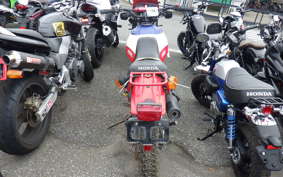 HONDA XL250R PARIS-DAKAR 1998 MD03