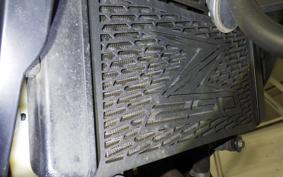 KAWASAKI Z250 2021 ER250C