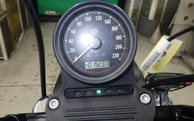 HARLEY XL883N 2019