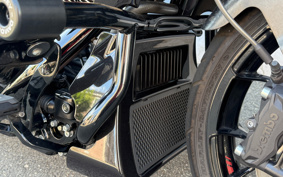 HARLEY FLTRXSTSE CVO 2024 TL8