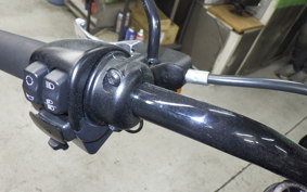 HARLEY FXLRS1920 2024