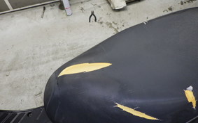 HONDA DIO ZX GEN 2 2026 AF35