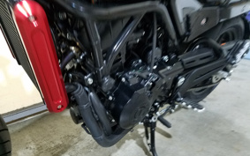 HARLEY X500 2024 W5B