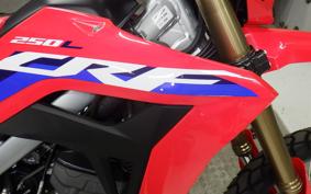 HONDA CRF250L 2007 MD47