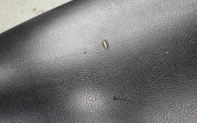 SUZUKI ADDRESS V125 G 2011 CF4EA