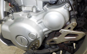 YAMAHA WR250R DG15J