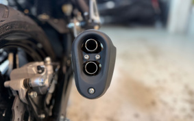 BENELLI RE ON CHI-NO250