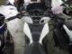 Фото Honda PCX 125 2018 с японского аукциона