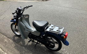 SUZUKI BAR DEE50 BA42A