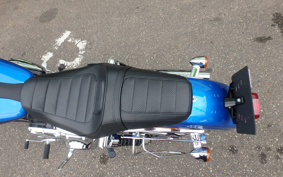 HARLEY FXDL1580 2020 GNM