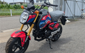 HONDA GROM JC92