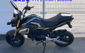OTHER GROM-2