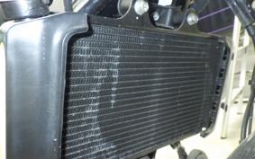 HUSQVARNA SVARTPILEN 401 2021