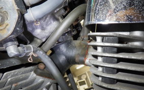 YAMAHA VIRAGO 250 2021 3DM