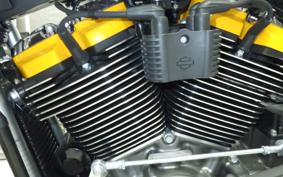 HARLEY FLSTFI1920 2025