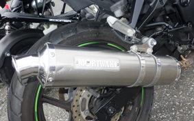 KAWASAKI NINJA 250R EX250K
