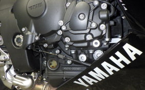 YAMAHA YZF-R1 2009 RN24J