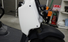 HONDA ZOOMER 2022 AF58