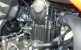 SUZUKI Vｽﾄﾛｰﾑ250SX 1995 EL11L