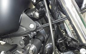 HARLEY XL883N 2017