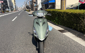 YAMAHA  AXIS Z