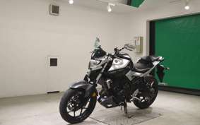 YAMAHA MT-25 RG10J
